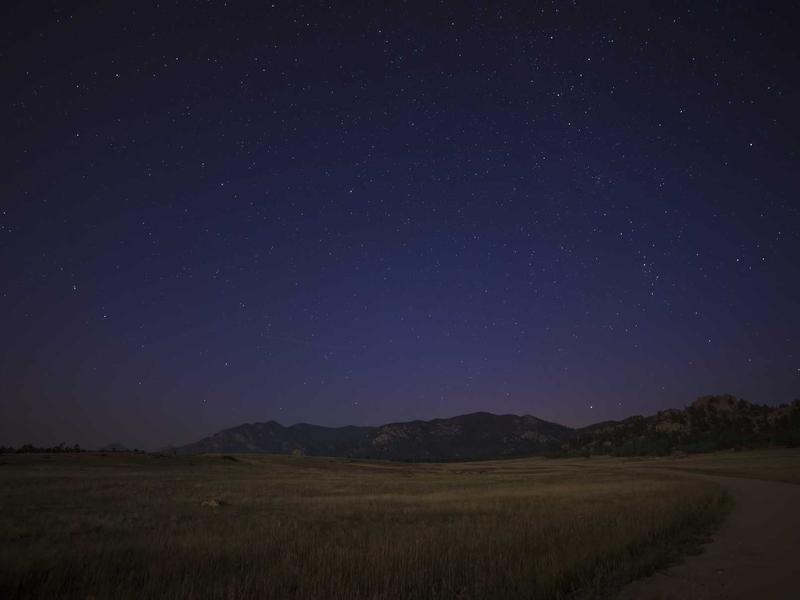 Diverse professional group in boardroom engaged in collaborative discussion
