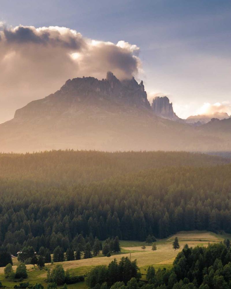Professional diverse team collaborating in modern office